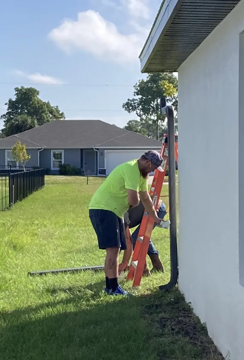 Gutter guards and leaf protection